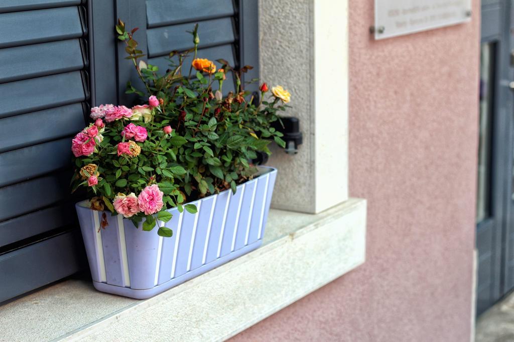 Kseni Accommodation Rovinj Exterior foto
